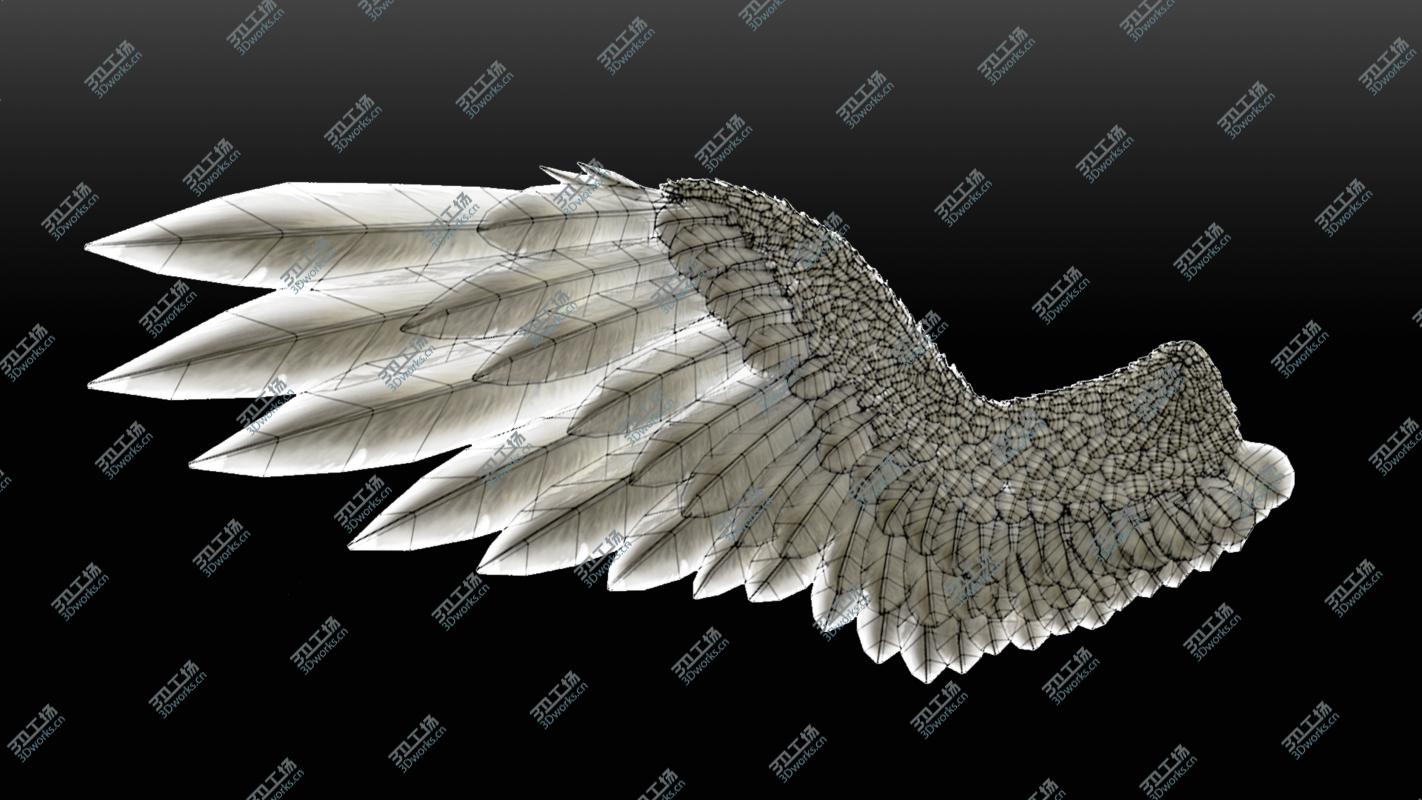 images/goods_img/20210113/3D Pair of Bird Wing [C4D] model/5.jpg